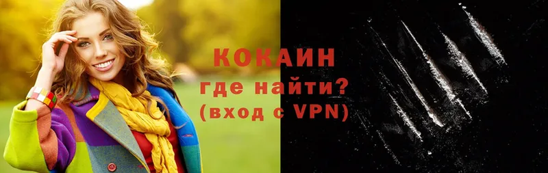 где купить   Тимашёвск  COCAIN VHQ 